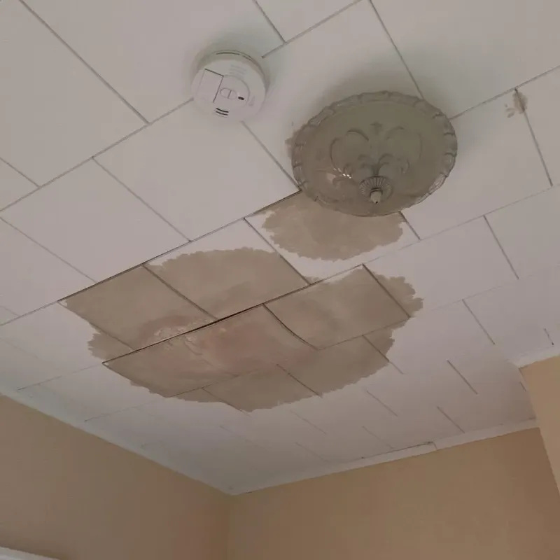 Ceiling Water Damage Repair in Marlborough, MO