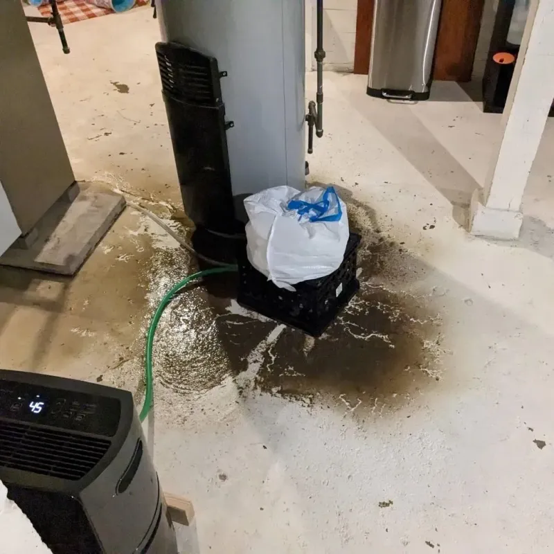 Sewage Backup Cleanup Service in Marlborough, MO